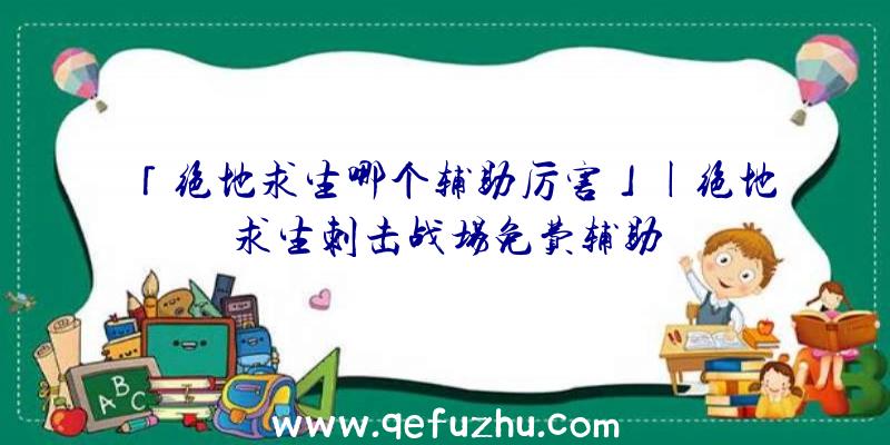 「绝地求生哪个辅助厉害」|绝地求生刺击战场免费辅助